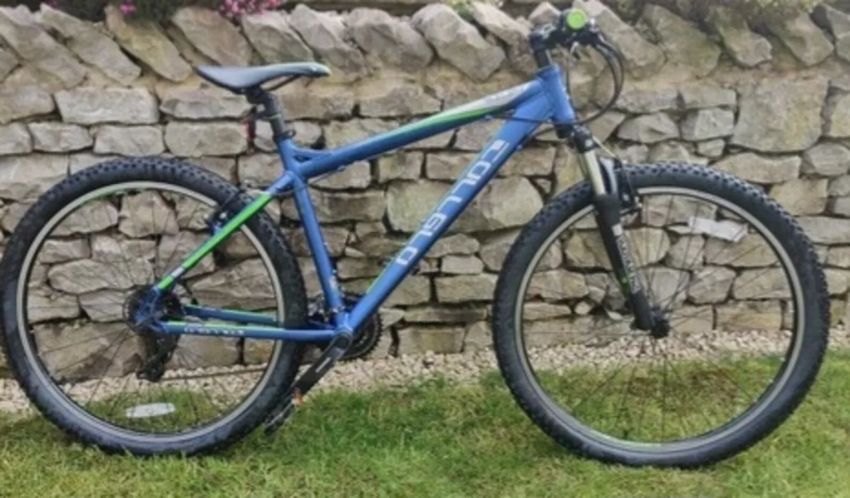 ADULTS CARRERA VELOUR BIKE FRAME: 20" MEDIUM 
WHEE - Image 3