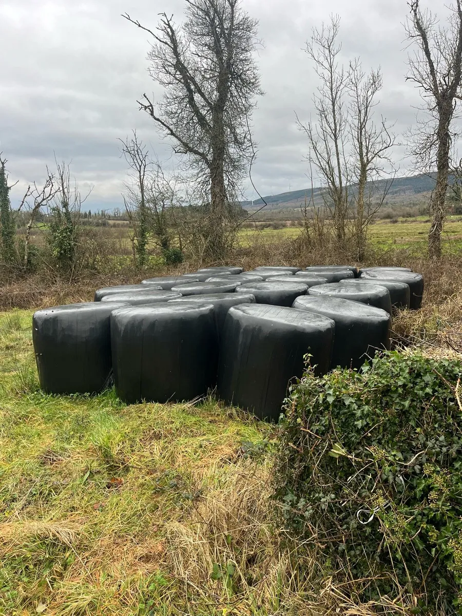 20 bales - Image 2