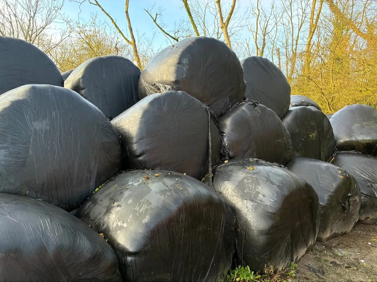 Silage bales - Image 2