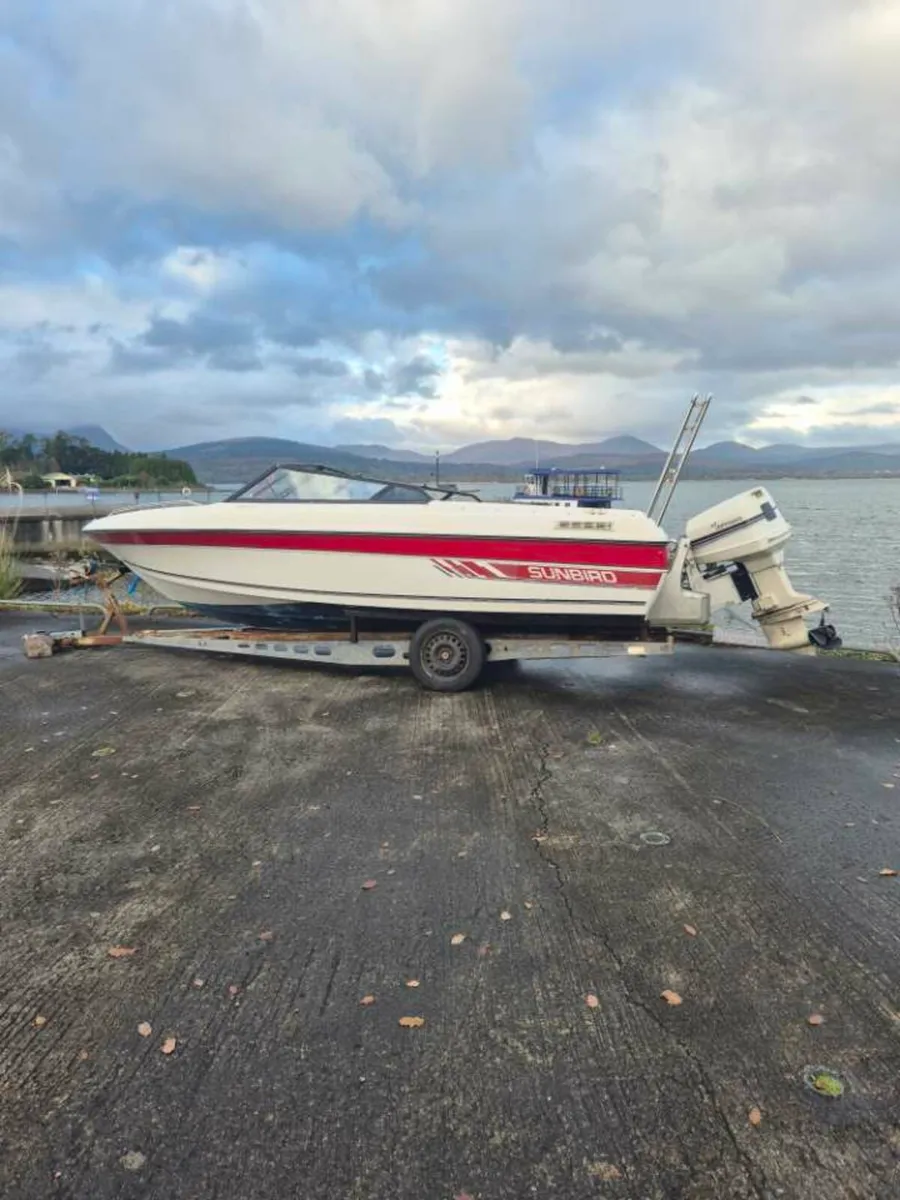 Boat + 125hp Johnson + Trailer – Project – €5,000 - Image 3