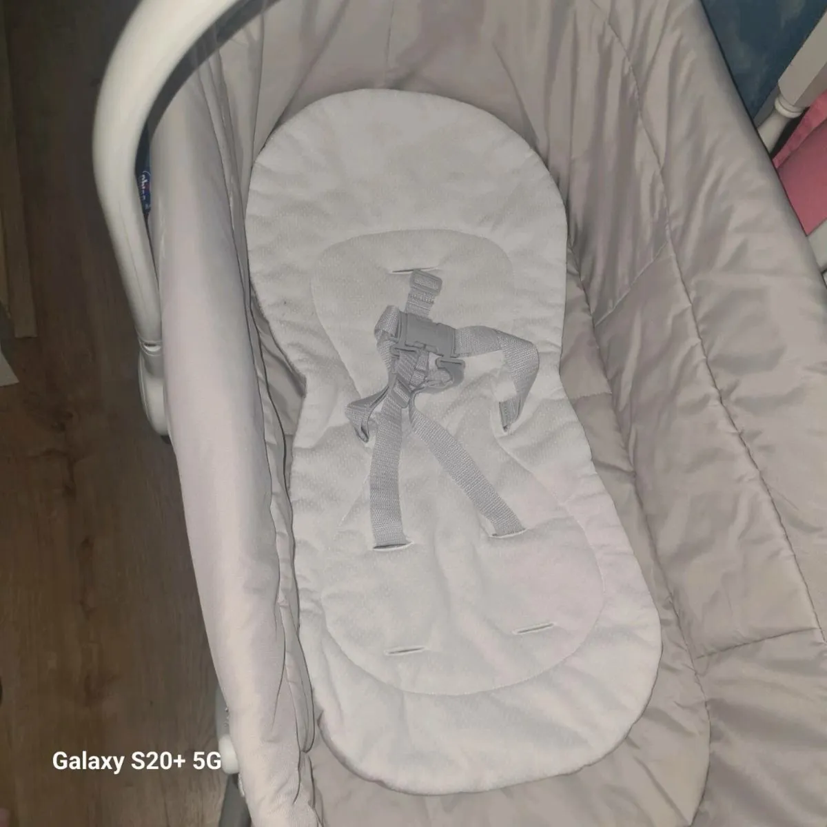 Chico next to me - Image 3