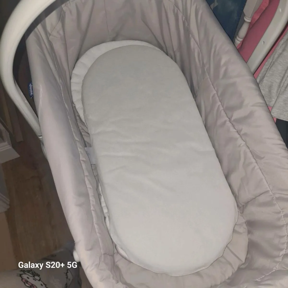 Chico next to me - Image 4