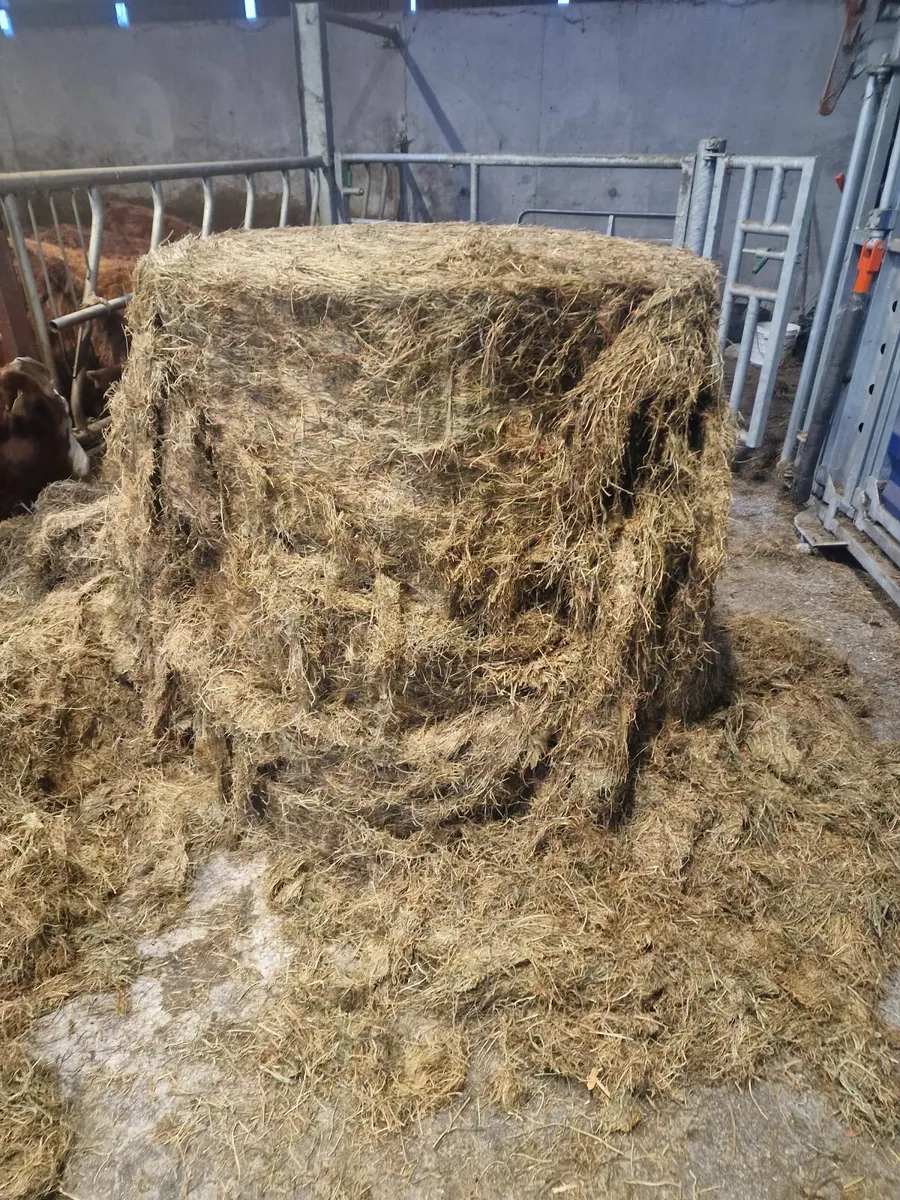 Bales for sale - Image 1