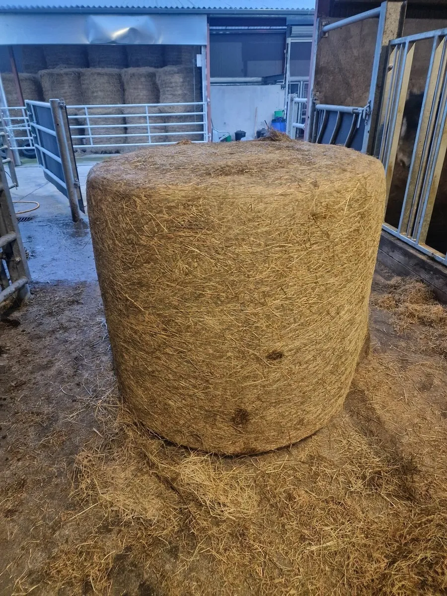Bales for sale - Image 2