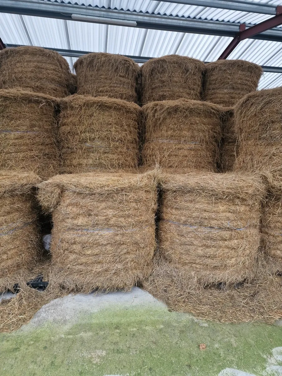 Bales for sale - Image 3