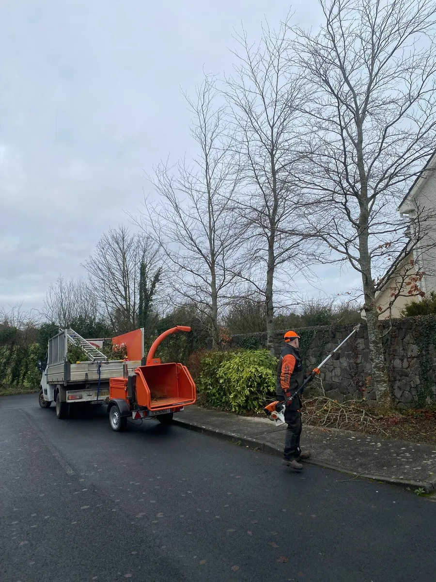 Tree Surgery - Image 1