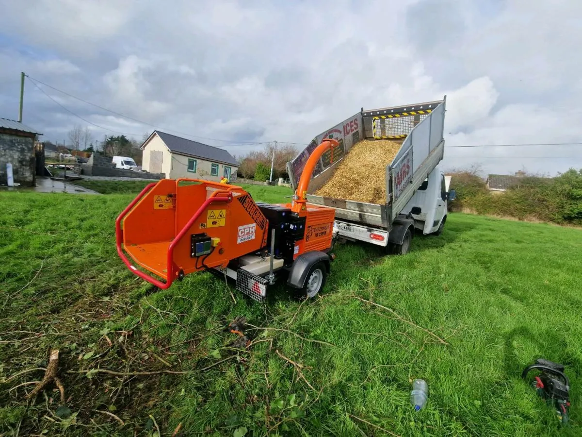 Tree Surgery - Image 3
