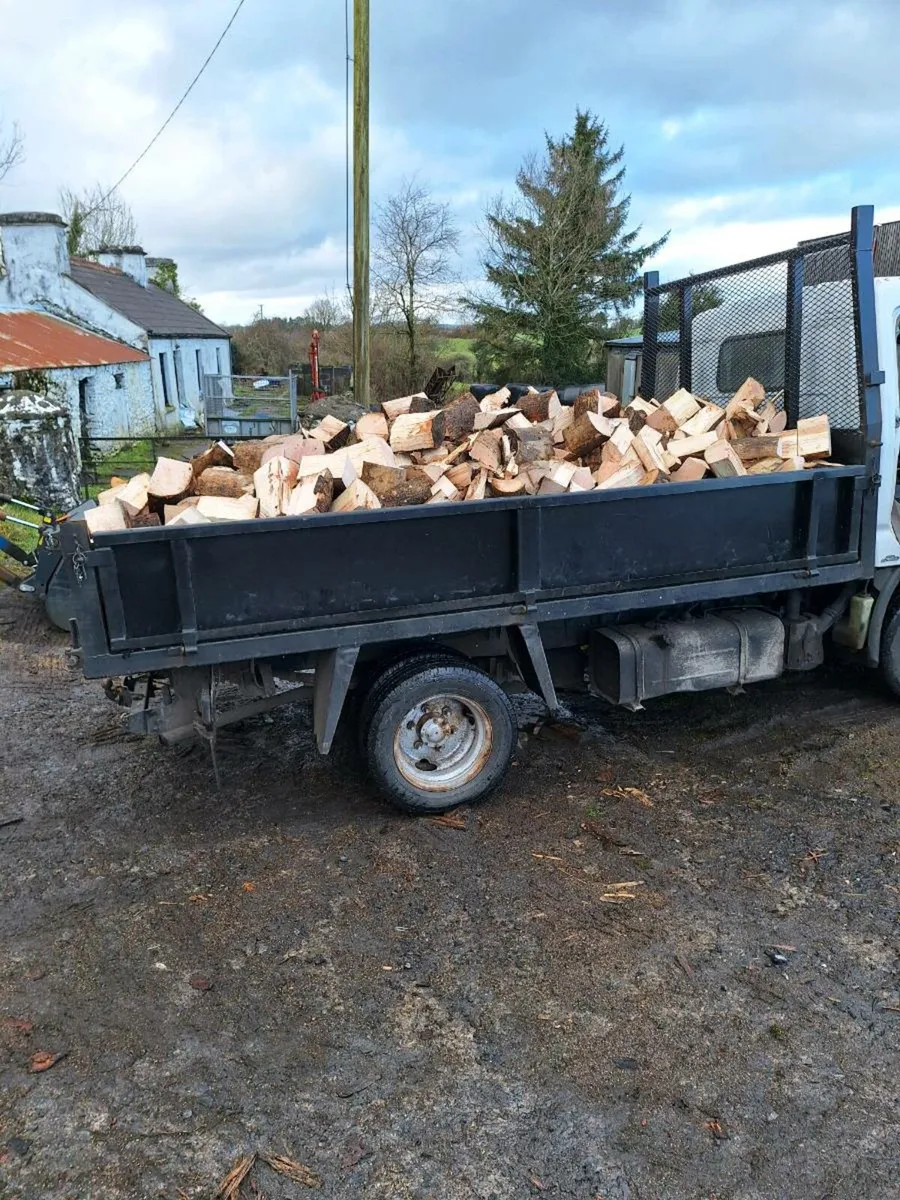 ASH / BEECH FIREWOOD - Image 1