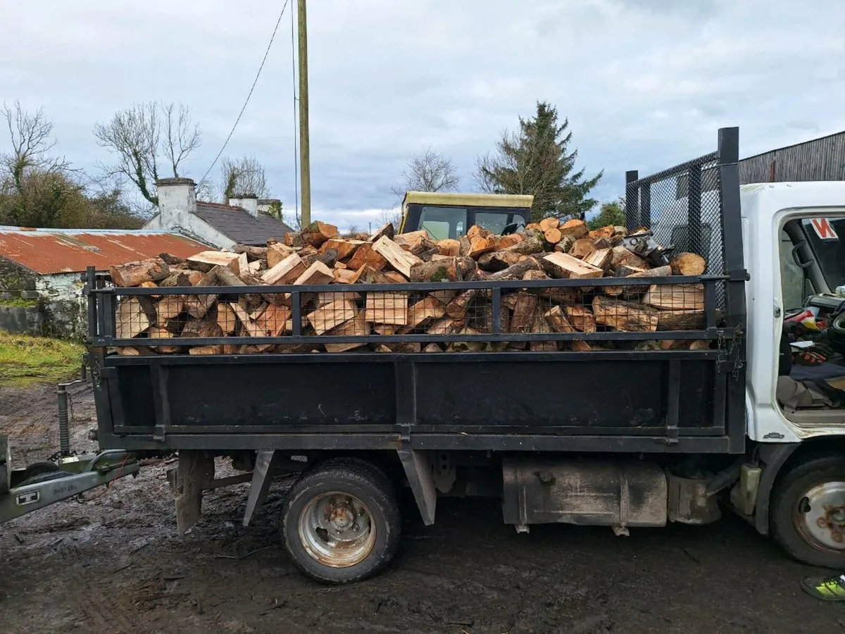 ASH / BEECH FIREWOOD - Image 2