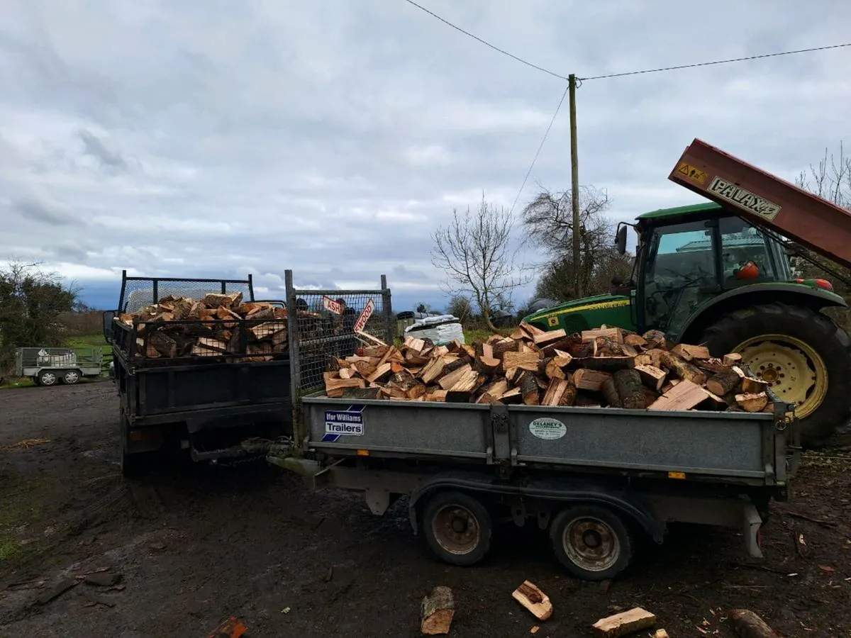 ASH / BEECH FIREWOOD - Image 4