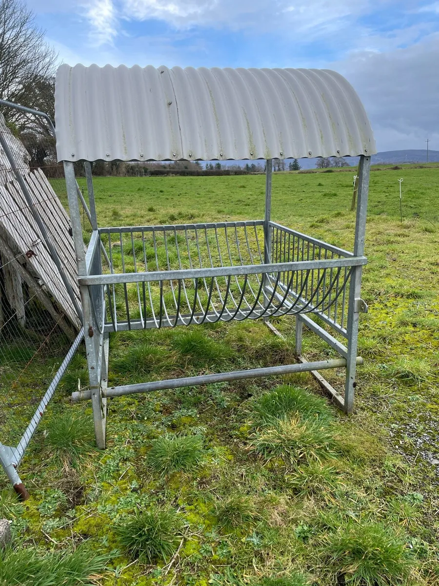 Sheep Feeder - Image 3