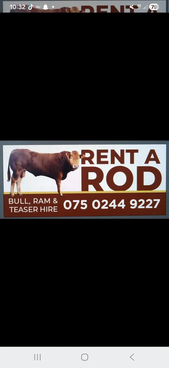 Bull hire rent a rod - Image 1