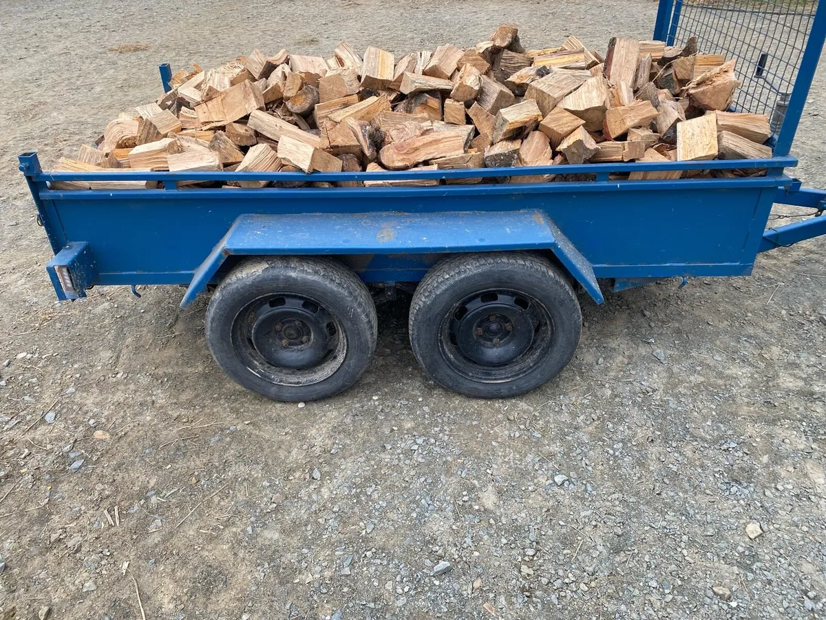 Firewood - Image 1