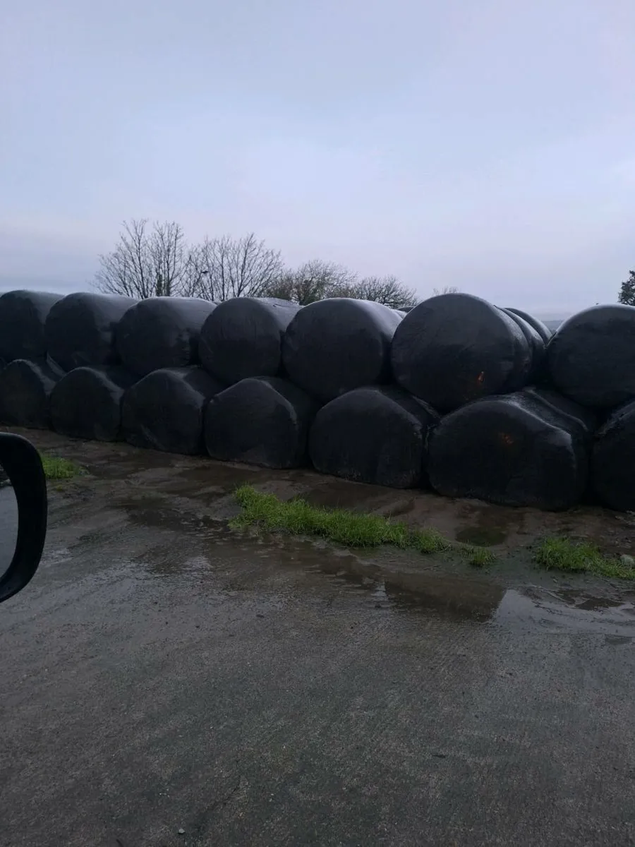 Silage and Haylage Bales