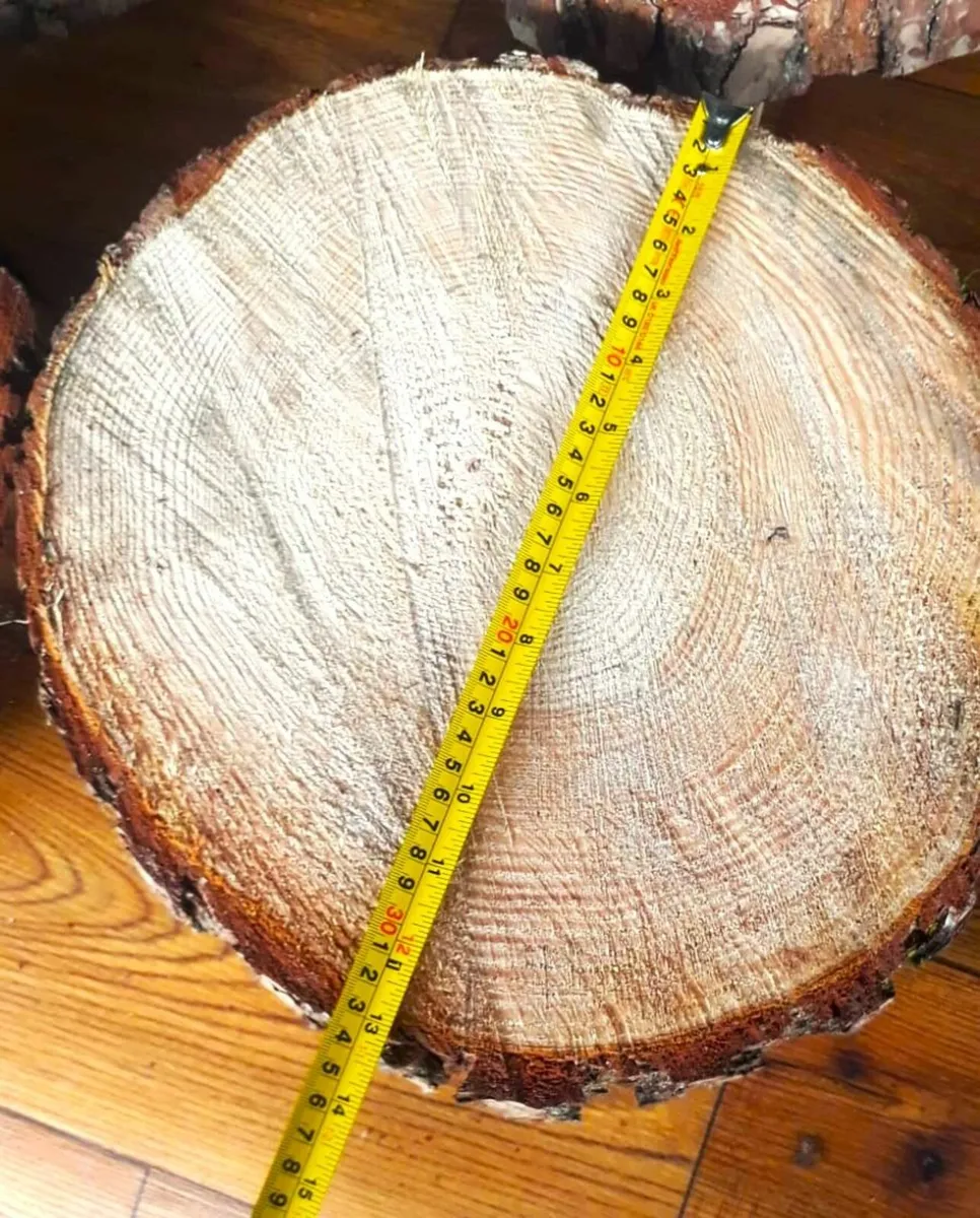 Wood slices - Image 4