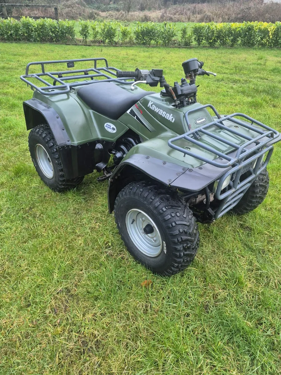 Kawasaki KLF 300 - Image 1