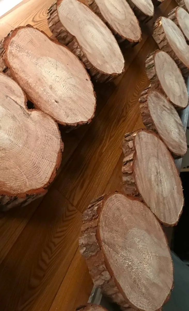 Wood slices - Image 1