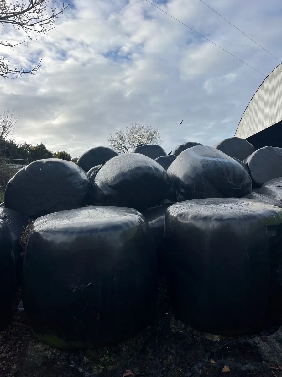 Round bales silage