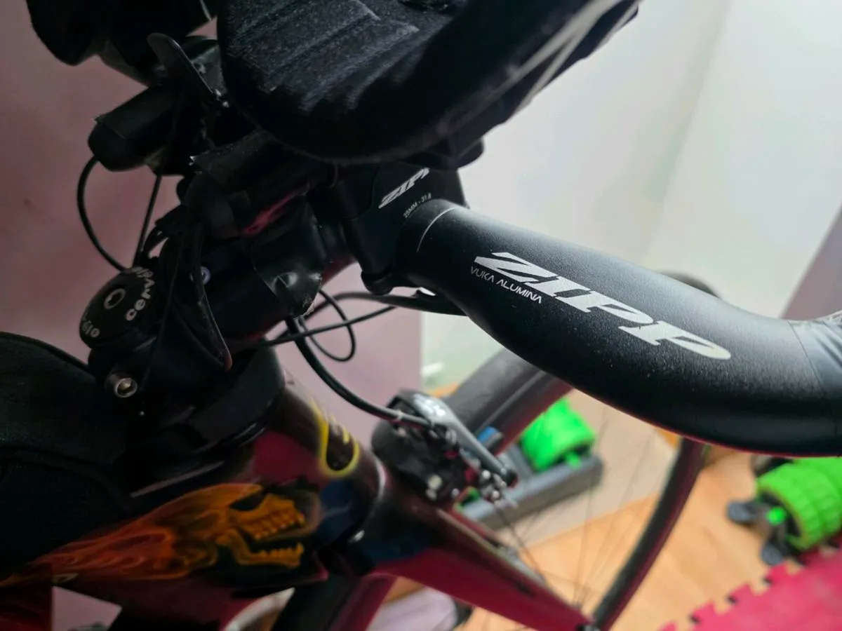 Custom Cervelo P2 - Image 3