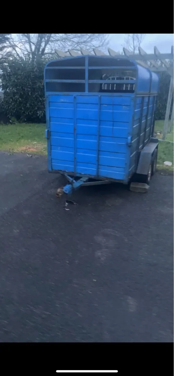 8x4 cattle trailer - Image 1