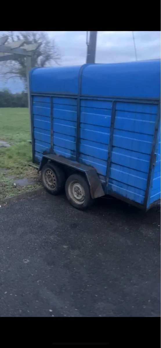 8x4 cattle trailer - Image 3
