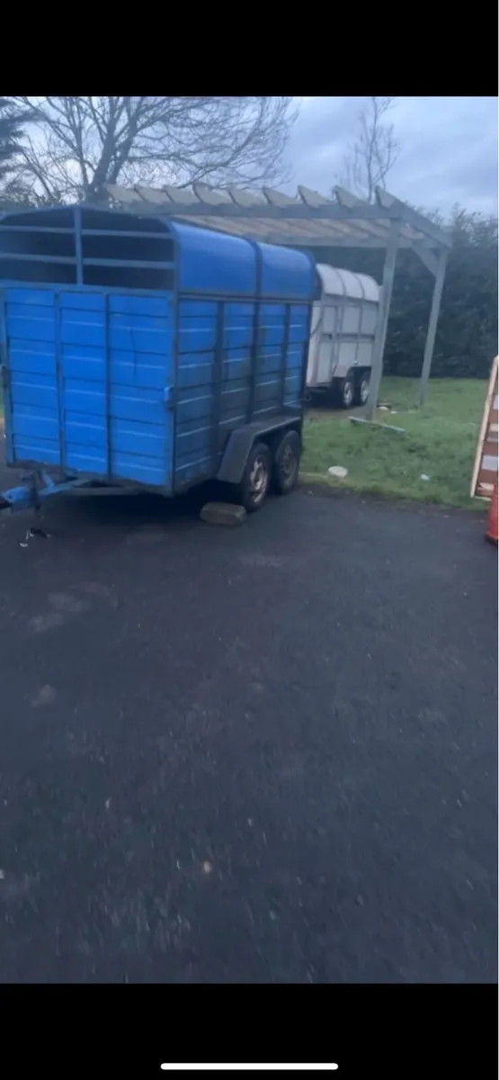 8x4 cattle trailer - Image 4