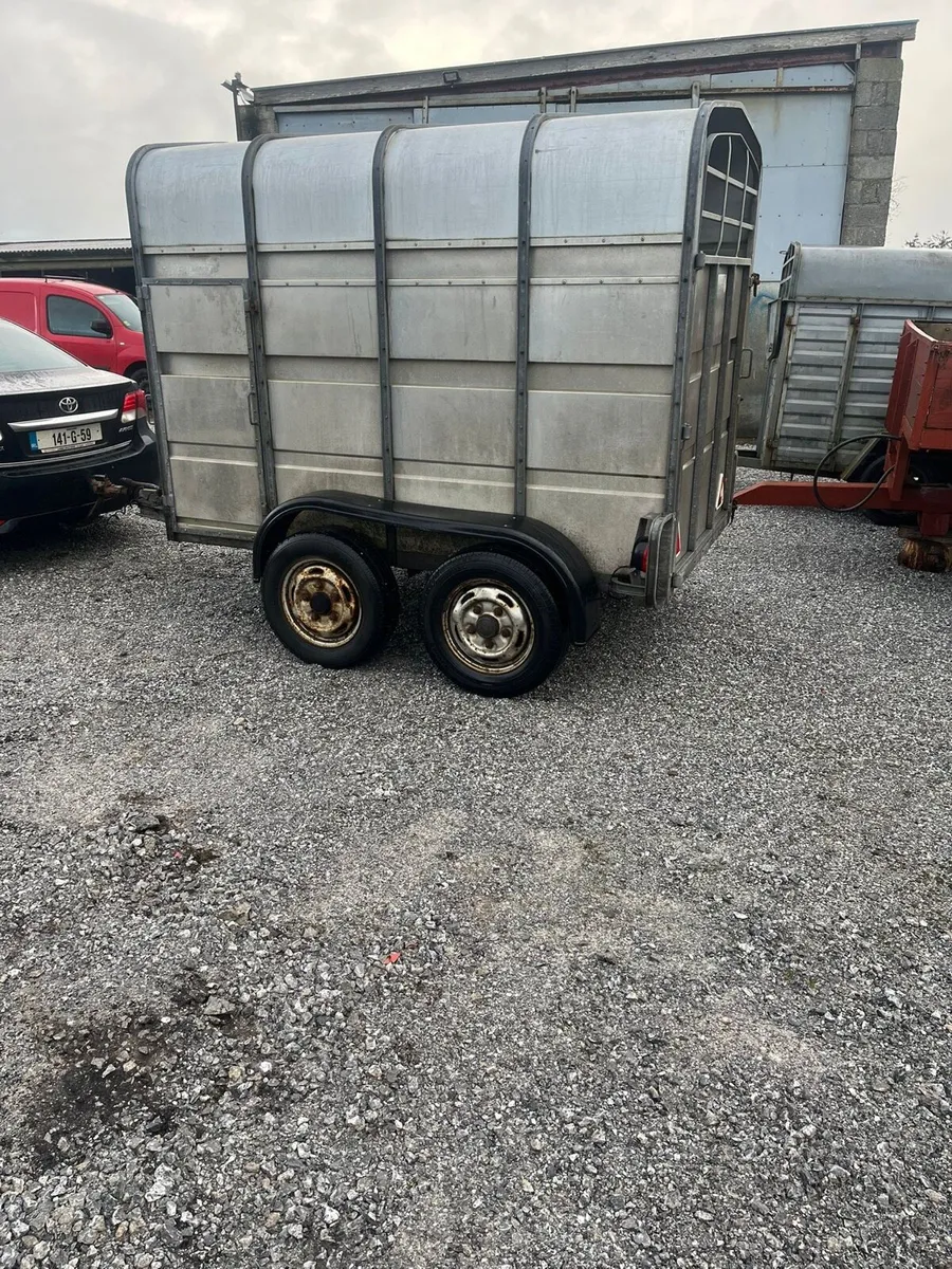 Jim Murphy 8x5 - Image 2