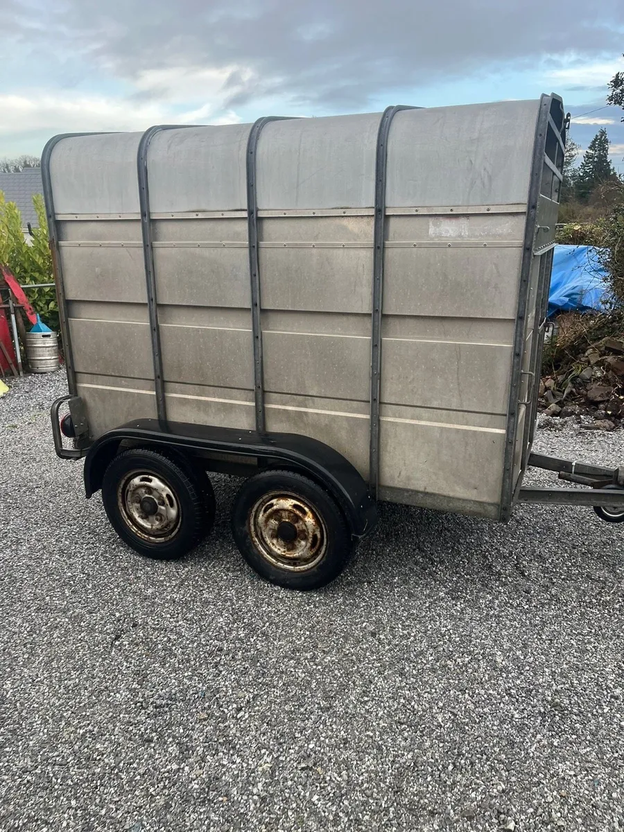 Jim Murphy 8x5 - Image 3