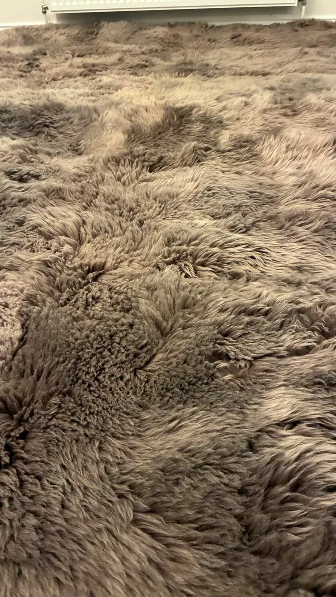 Natural Sheepskin rug XXL huge - Image 4