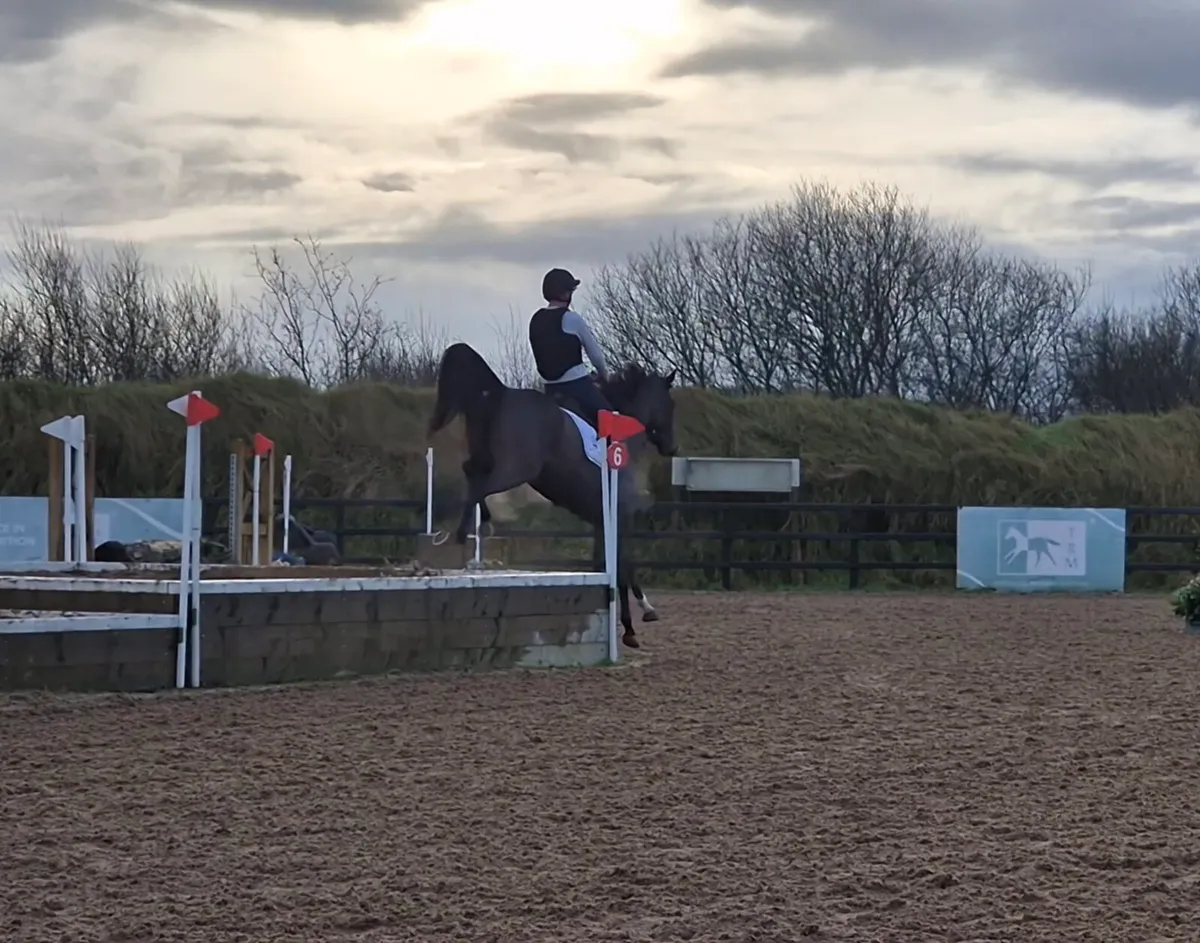 Super Event/sj type - Image 4