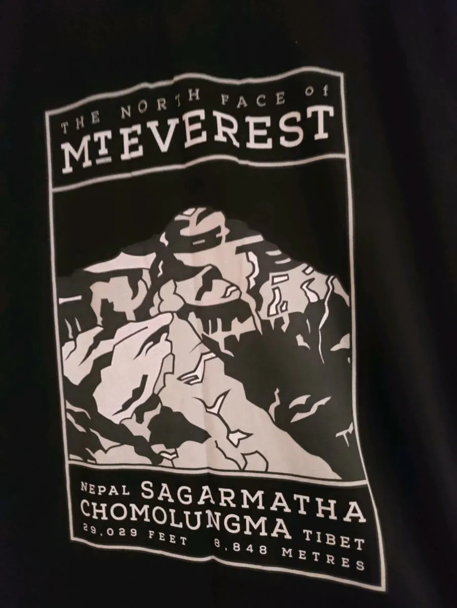 The North Face Mt Everest T shirt L New - Image 1