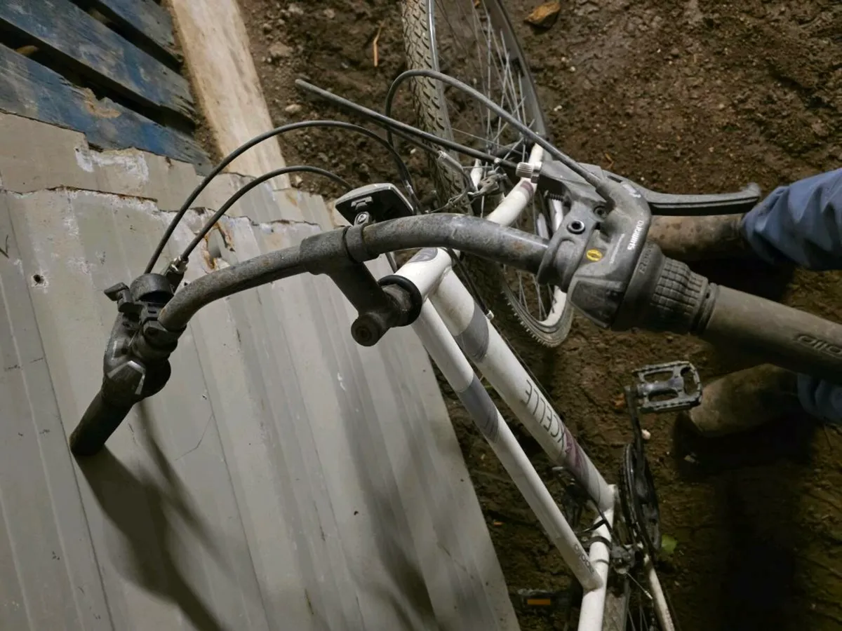 Woman's bike - Image 2