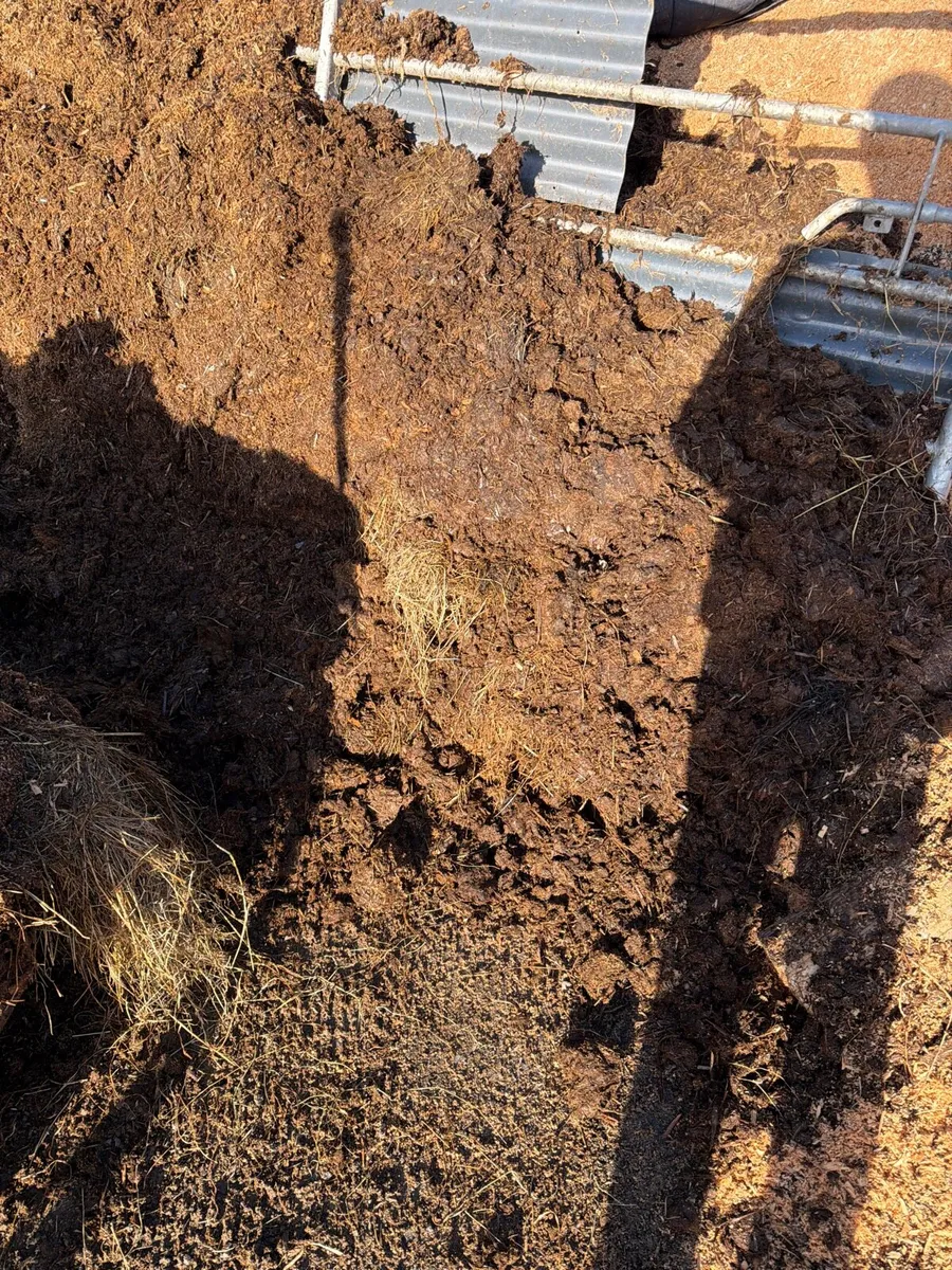 Well rotted horse manure / compost / manure