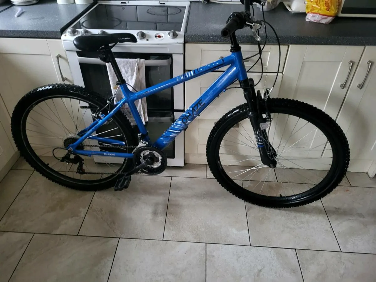 Mountain bike - Image 1