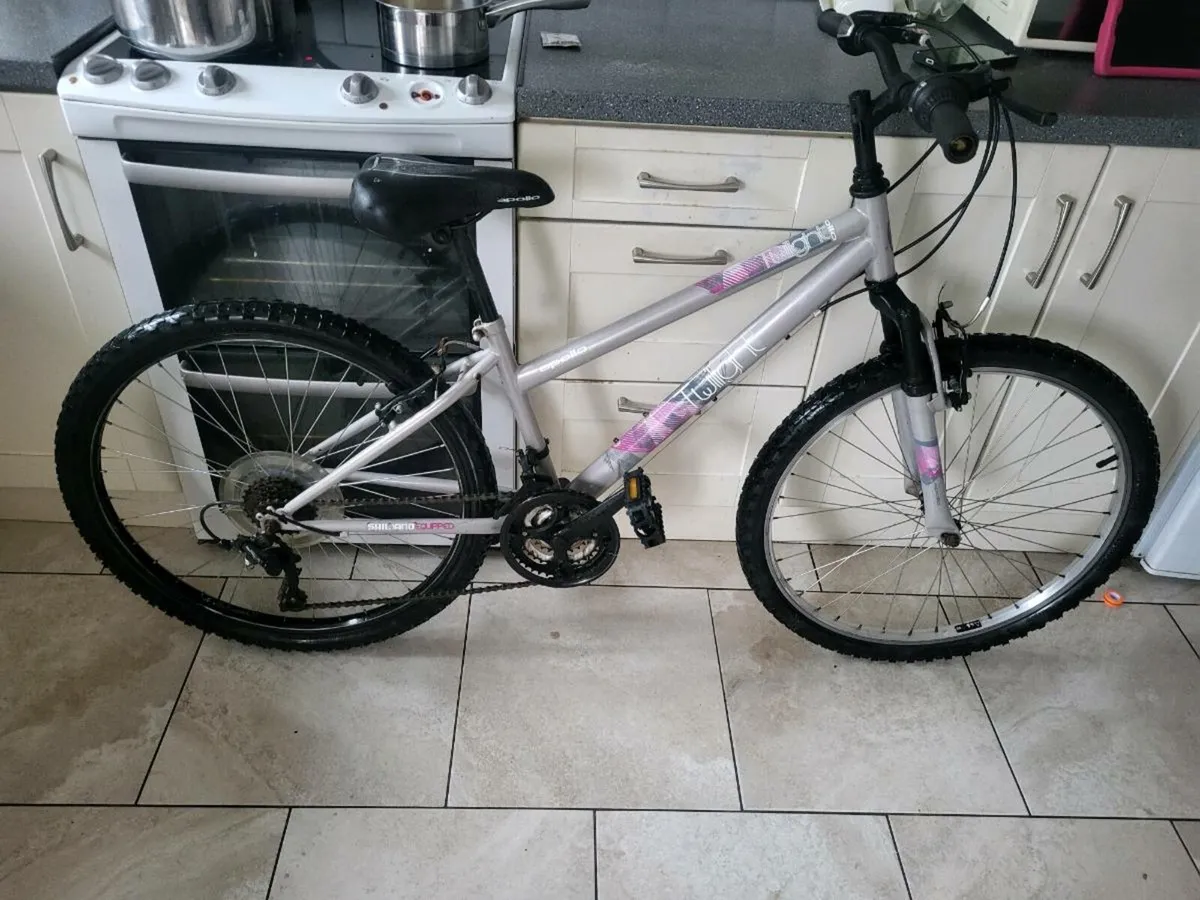 Ladies bike - Image 1