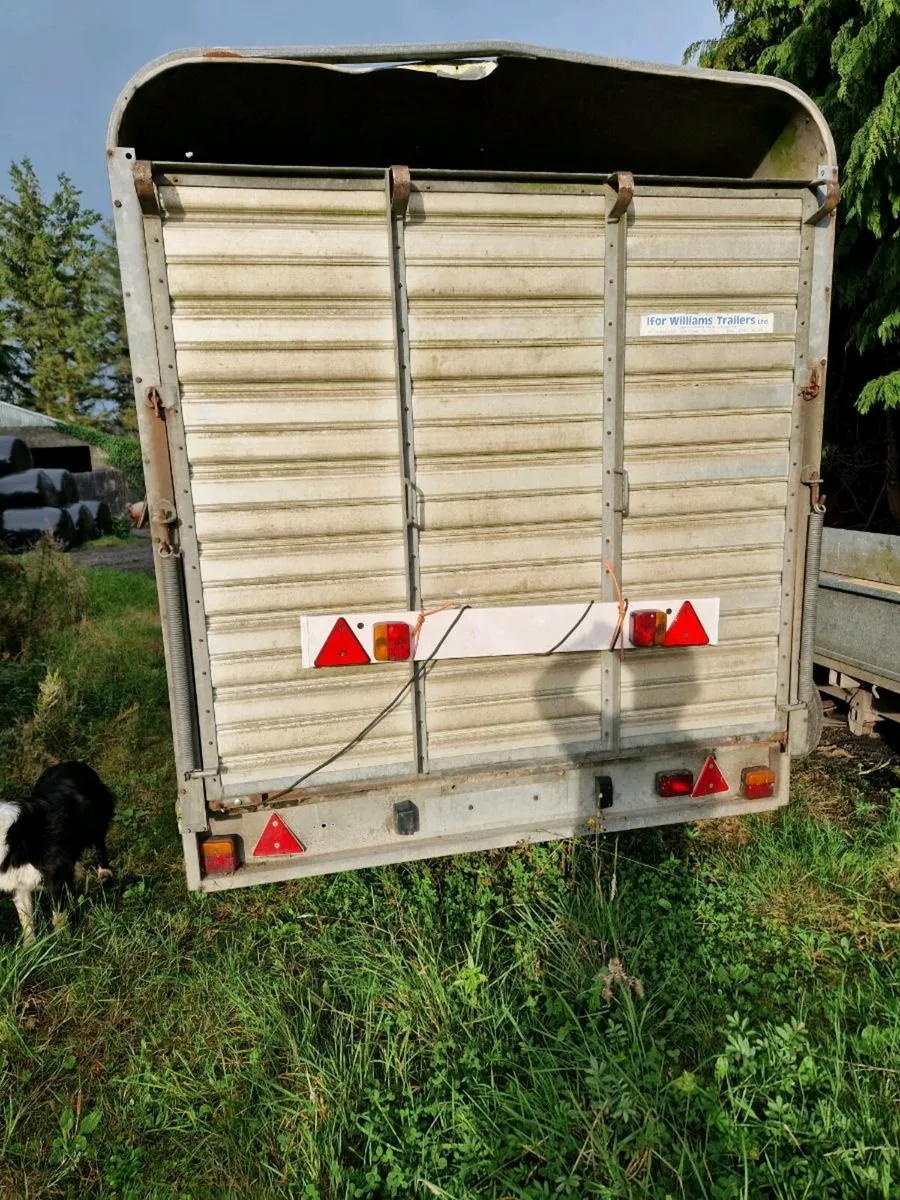 Trailer Ballina - Image 2