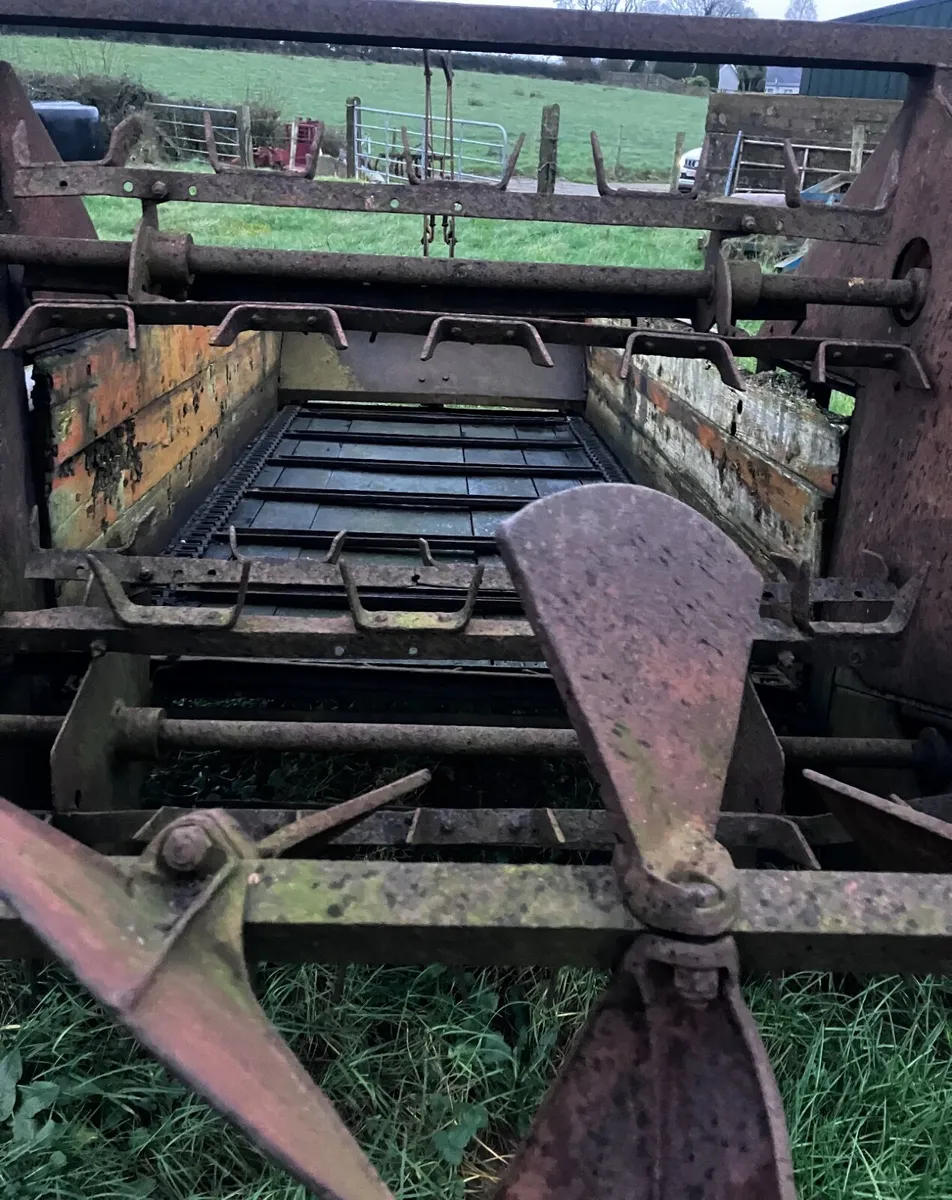 Salopian Manure Spreader - Image 4