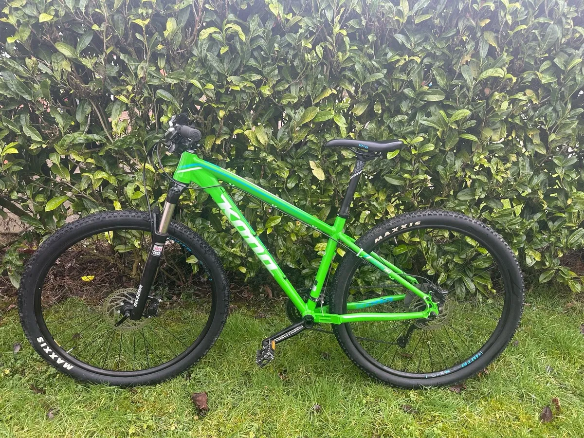 Mountain bike - Image 1