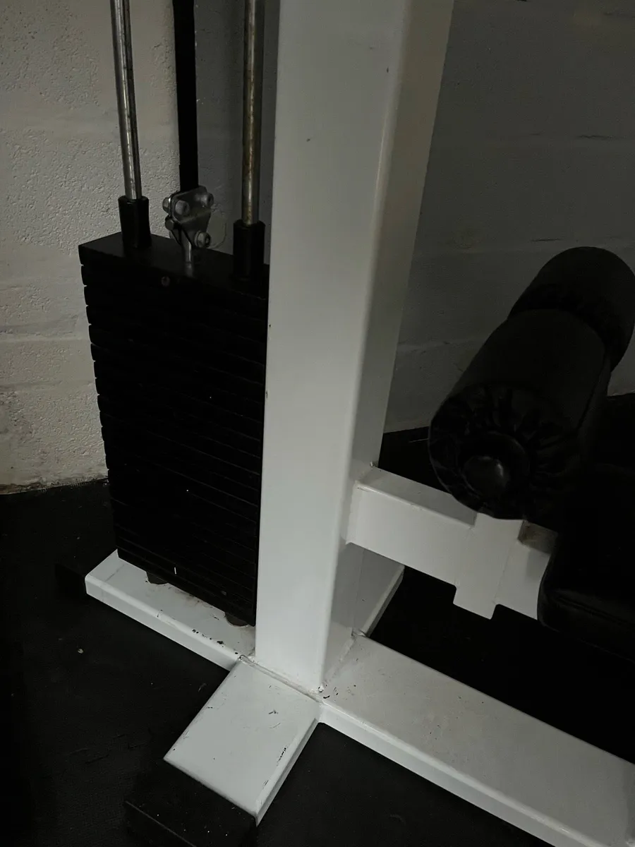 Gerva sport lat pulldown / low row 100kg stack - Image 2