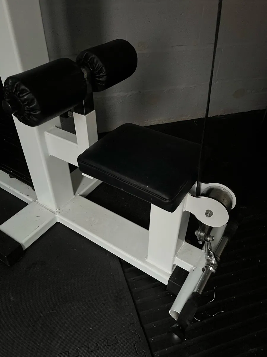 Gerva sport lat pulldown / low row 100kg stack - Image 3