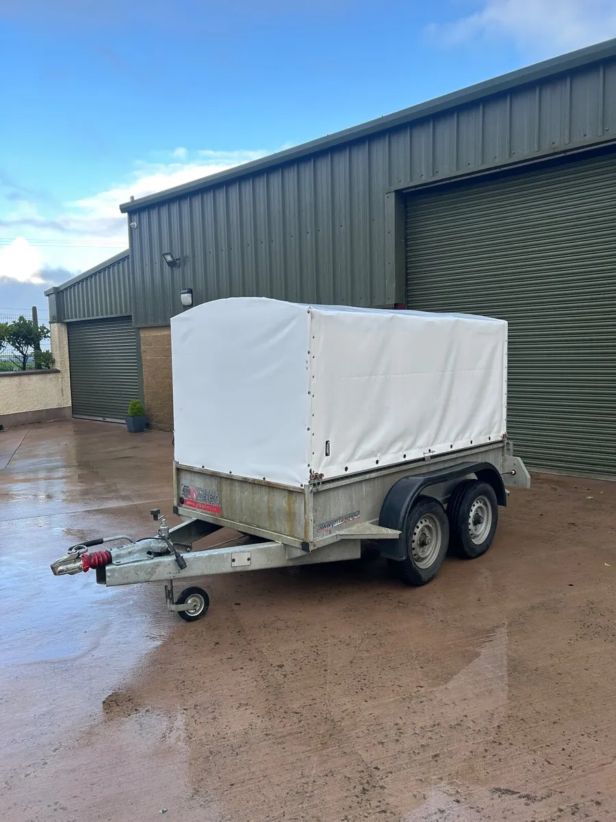 8x4 trailer with removable custom-fit canopy - Image 3