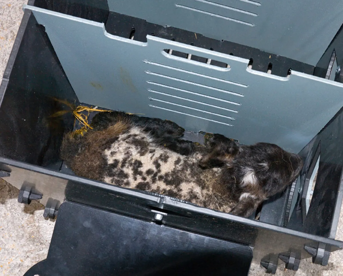 Lamb Warming Boxes - Image 1