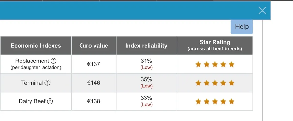 Limousin Bull ( Pedigree Registered) - Image 4