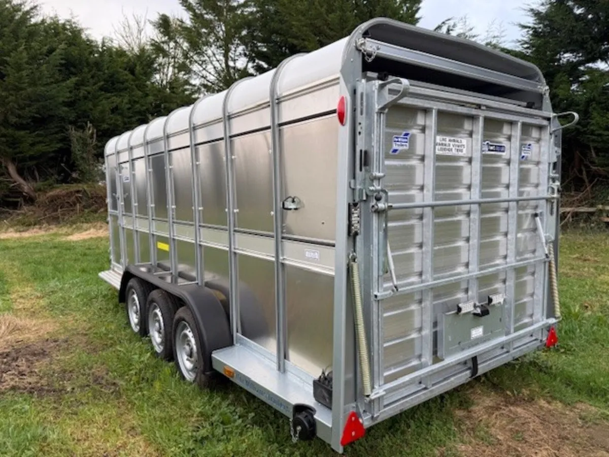 T3046931 New TA510 16' x 5'10'' Sheep Trailer Ifor - Image 3