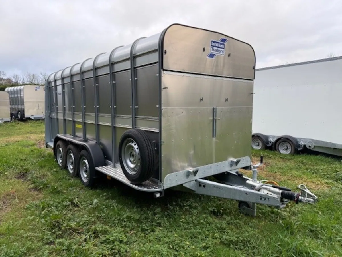 T3046931 New TA510 16' x 5'10'' Sheep Trailer Ifor - Image 2