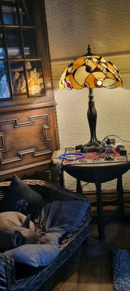 Bintage PEACOCK EYE TIFFANY LAMP - Image 1