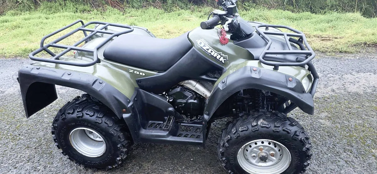 Suzuki Ozark 250 as new , choice - Image 1