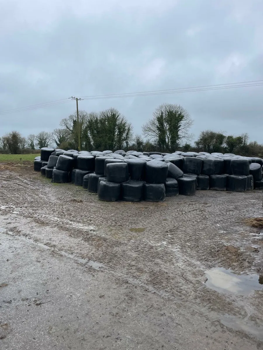 Silage Bales - Image 1