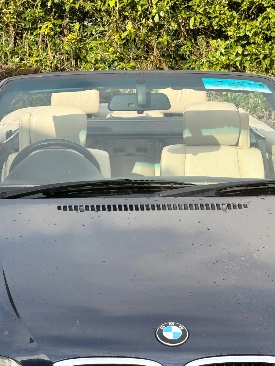 BMW 04 318ci - Image 4