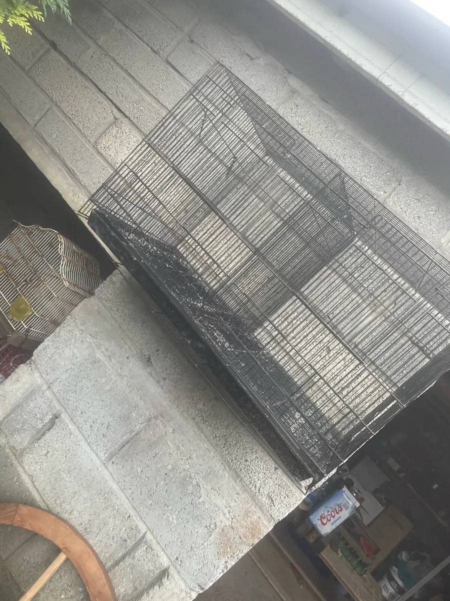 Bird cage - Image 3